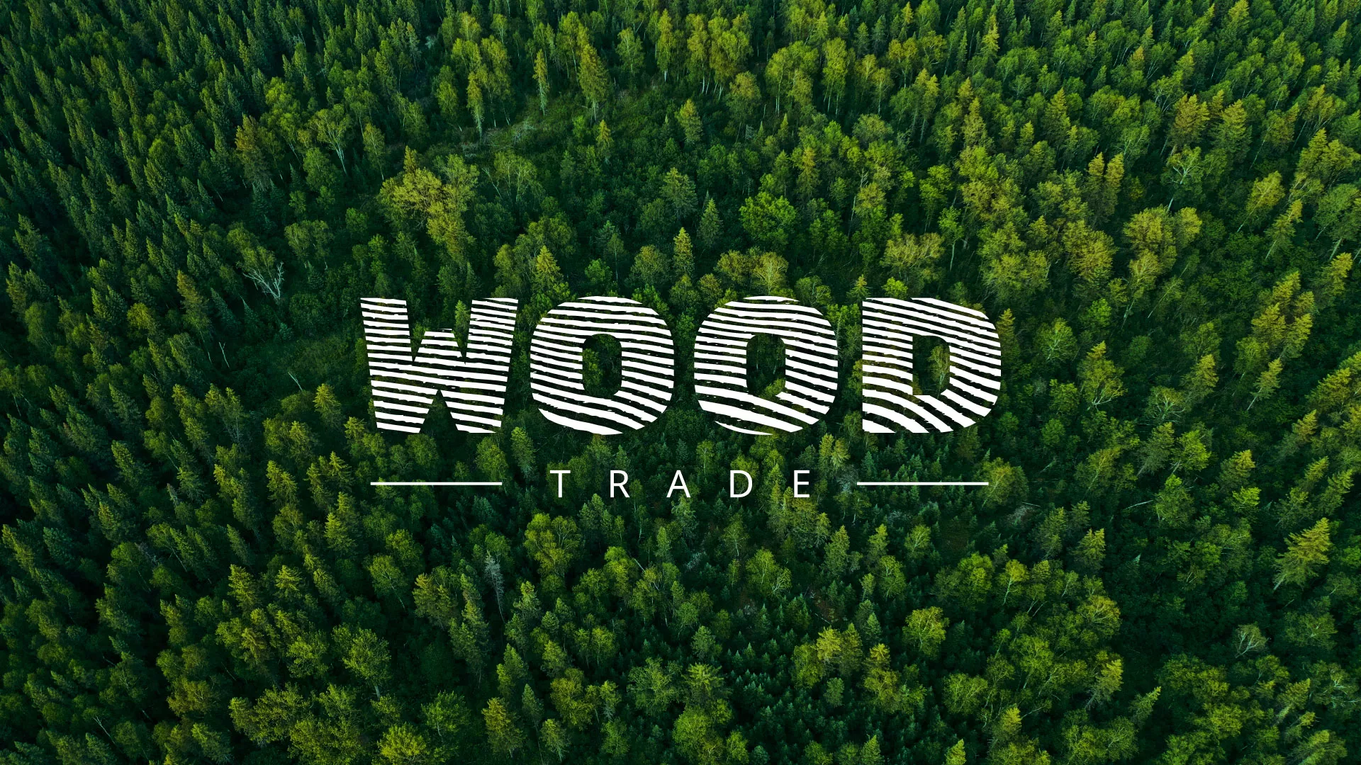 Разработка интернет-магазина компании «Wood Trade» в Новодвинске